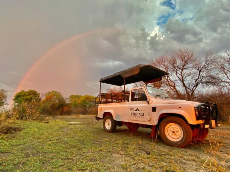 Game drive