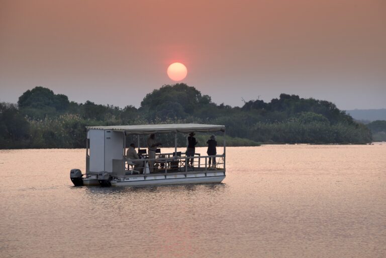 A Chobe River Game Cruise