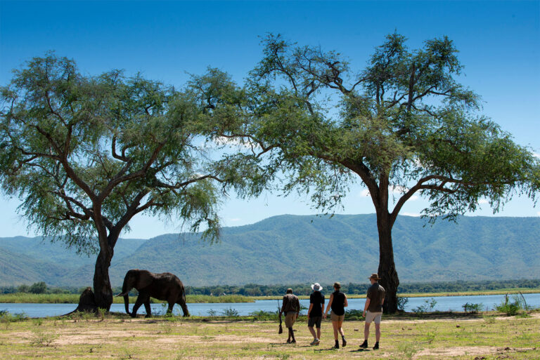 Chobe River Fishing Trip