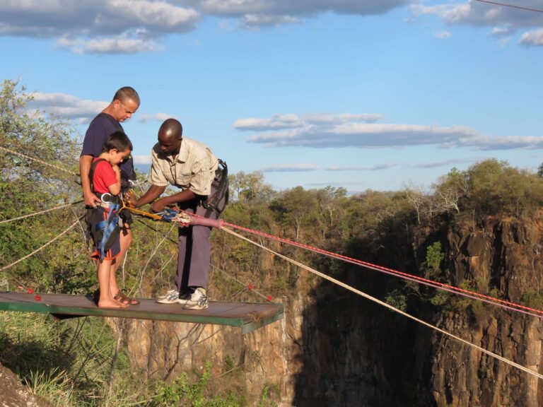 Flying fox